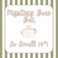 SS Mystery Box